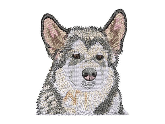 Reviewing the Alaskan Malamute Puppy Design for Gifts
